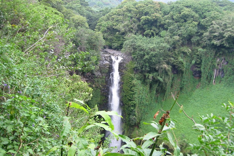 ../image/makahiku falls overlook.jpg